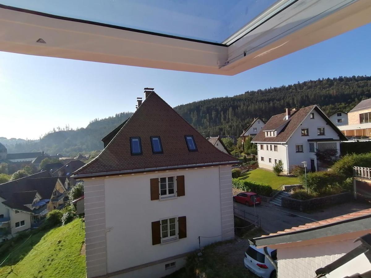 Waelder: Quartier Haus Im Glueck Villa St. Blasien Exterior photo